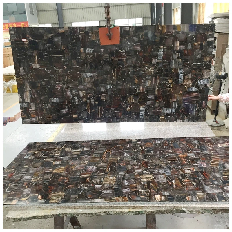 Black Petrified Wood Retro Slab