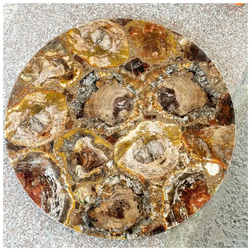 Petrified Wood Gemstone Round Coffee Tables